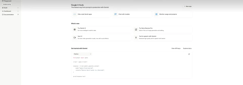 Google AI Studio 首頁顯示 Build、模型聊天、使用量和開發者入口